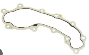 GASKET WATER PUMP RELATED